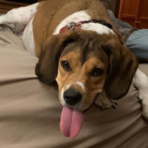 Meet your Posher, Jordan